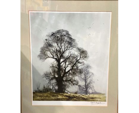 After David Shepherd: Print of trees in winter, signed twice in pen (at an event).&nbsp; Framed &amp; glazed, 64 x 51cm