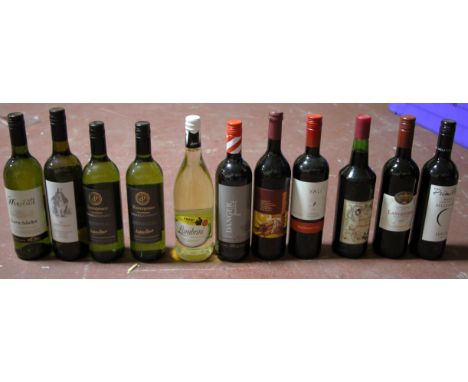 10 bottles assorted red and white new world wine, vintage 2010-2012, a bottle of homemade Elderflower wine, vintage 1984, and