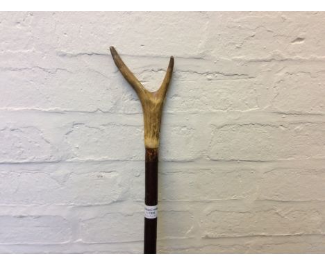 A stag horn top shooting stick.