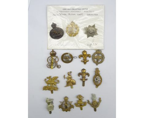 Fifteen cap badges including Liverpool Pals, Army Cyclists Corps, LRDG, Royal Naval Air Service, RFC etc, all thought to be r