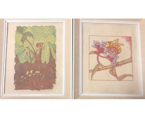 JAMES DEXTER HAVENS - Two colour woodcut prints Bombas on Anchusa no 14/35 pencil signed and dated 1938 and another depicting