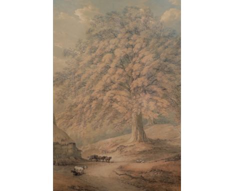 Thomas Hearne (British, 1744-1817) View in Moccas Park Woodswatercoloursigned39 x 33cm***CONDITION REPORT***Watercolour on li