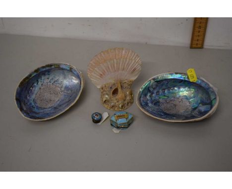 Quantity of shells and trinket boxes