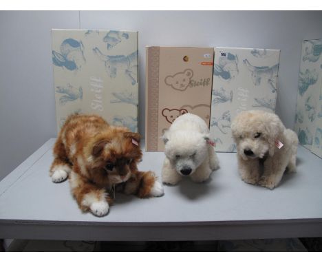 Three Modern Steiff Animals, 'Knut Masterpiece' #036996 2007, NO. 69 of 3000, 30cm high. 'Mizzy Maine Coon Katze' #036613 200