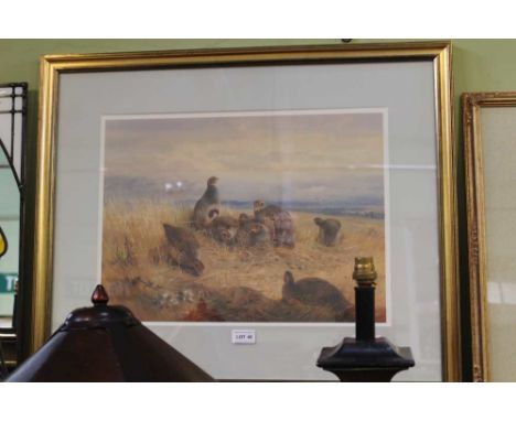 A COLOURED LIMITED EDITION PRINT OF GROUSE after the original by Archibald Thorburn 