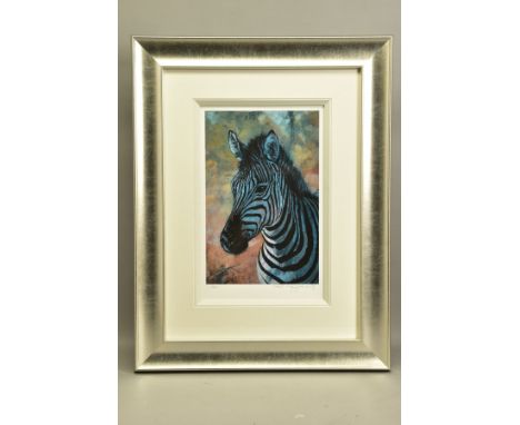 ROLF HARRIS (AUSTRALIA 1930) 'YOUNG ZEBRA', a signed limited edition print 39/195, with certificate, approximate sizes - imag