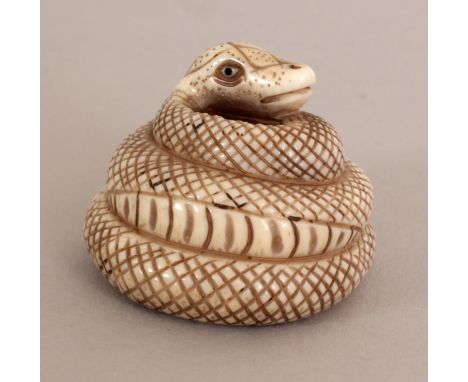 AN EARLY 20TH CENTURY SIGNED JAPANESE MARINE IVORY NETSUKE OF A COILED SNAKE, the base with an engraved signature, 1.25in dia