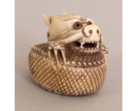 AN EARLY 20TH CENTURY SIGNED JAPANESE MARINE IVORY NETSUKE OF A COILED DRAGON, the base with an engraved signature, 1.3in lon