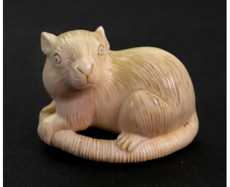 A Japanese ivory netsuke of a recumbent rat, late 19th/early 20th century, signed, 4.5cm length.