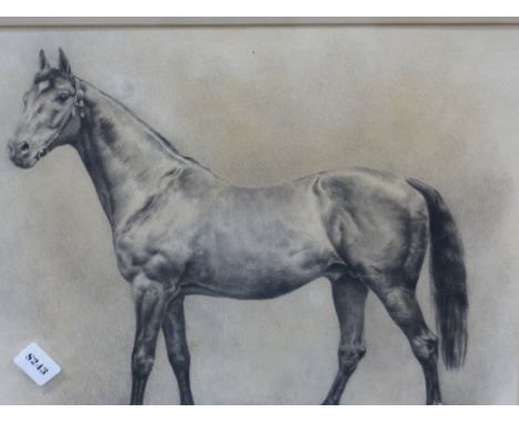 EARLY 20th.C. ENGLISH SCHOOL. PORTRAIT OF A RACEHORSE, INITIALLED. DRAWING. 24 x 29cms