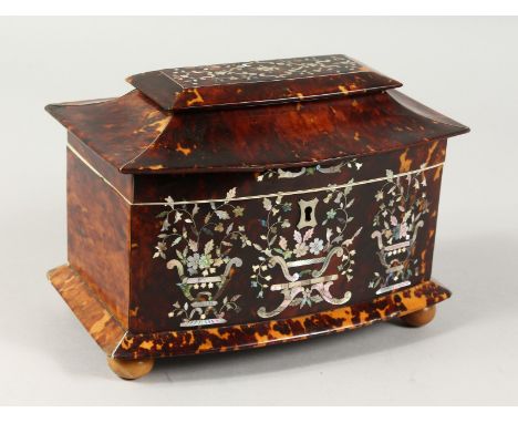 A GOOD REGENCY TORTOISESHELL TWO DIVISION BOW FRONT TEA CADDY with mother-of-pearl inlay, on four bun feet. 8ins wide.