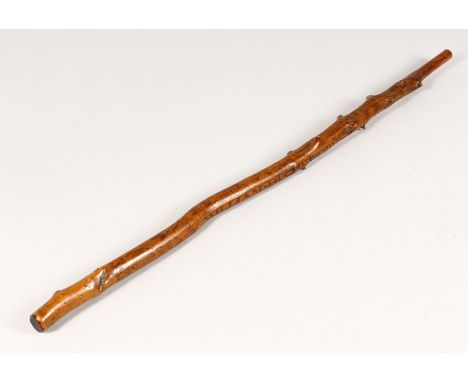 FOLK ART, AN 18TH CENTURY WALKING STICK, incised with the owners name WILLIAM HUGHES, FORD, BUCKS 1839, and numerous other em