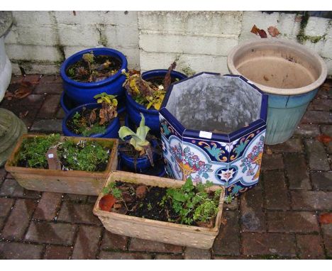 Assorted glazed garden pots and two terracotta trough planters 