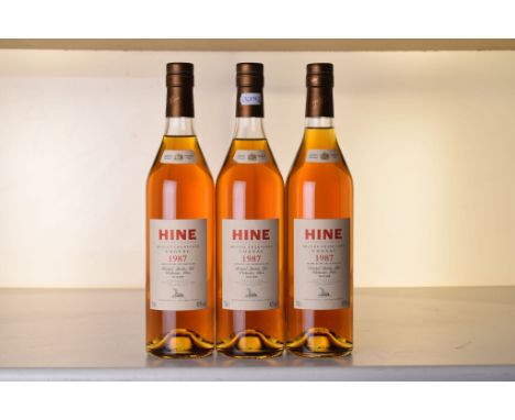  Vintage Hine Cognac 1987 3 bts 