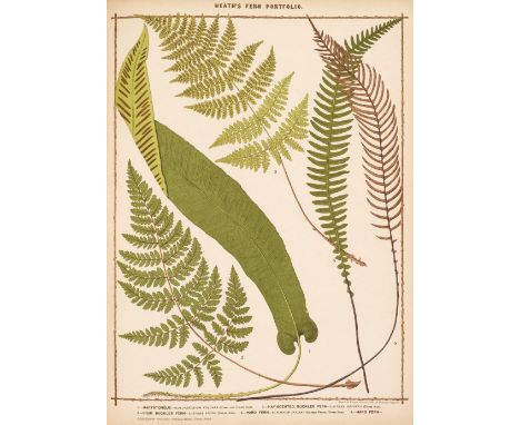 Heath (Francis George). The Fern Portfolio, London: S.P.C.K., 1885, 15 chromolithographed plates, a little light marginal ton