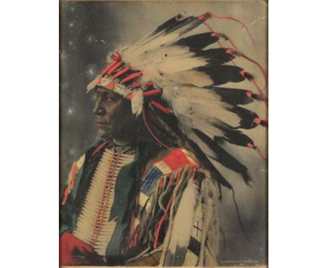 Frank A. Rinehart (1861-1928) - Hand tinted photographic print - "Chief Hollow Horn Bear (Sioux)", No. 1160, copyright 1898, 