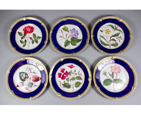 Six early 19th Century Chamberlain's Worcester porcelain plates, the centres decorated in coloured enamels with named botanic