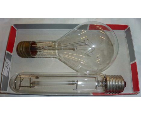 2 large filament light bulbs