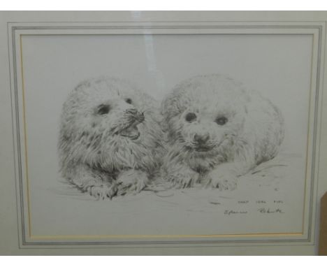 Arthur Spencer Roberts (British, 1920-1997), 'Harp Seal Pups', signed lower right, brown crayon on paper H.21cm W.28cm