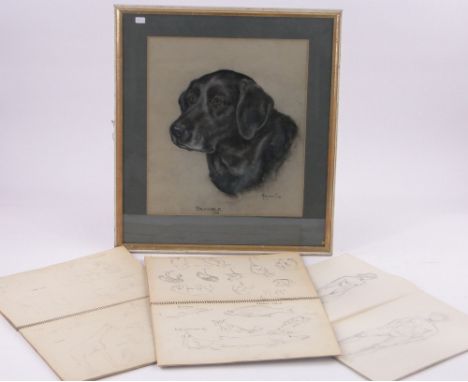 Marjorie Cox (1915-2003),coloured pastels, portrait of a dog Bramble 1964, signed, 17" x 15" together with 3 sketch  books by
