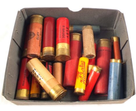 A collection of shotgun cartridges including 8 bore, 4 bore and pinfire examples, this item can only be purchased by someone 