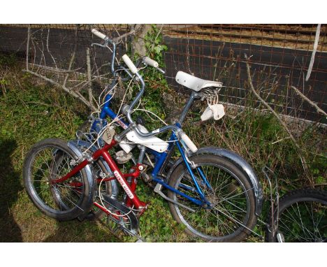 Two fold up Elswick Hopper bikes.