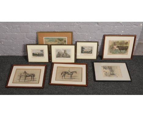 A collection of antique prints including equestrian and architectural etc.  