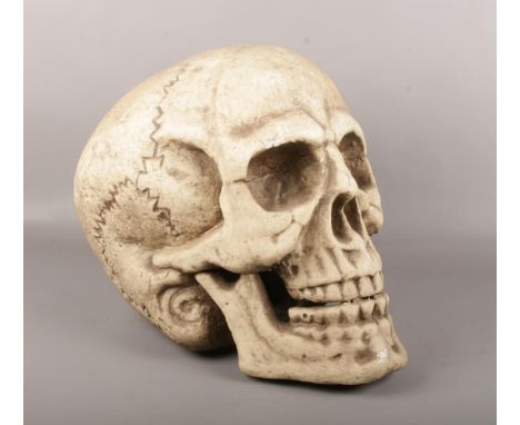 An oversize polystyrene painted sculpture of a human skull, 38cm high. Provenance; Lathom Hall, Liverpool.  