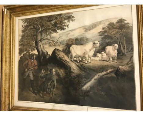 early 19th century coloured lithograph, slightly trimmed, lettering indistinct below, 55 x 70cm