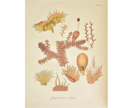 Hooker (William Jackson). British Jungermanniae: Being a History and Description, with Coloured Figures, of each Species of t
