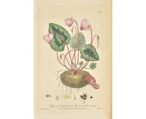 Baxter (William). British Phaenogamous Botany; or, Figures and Descriptions of the Genera of British Flowering Plants, 6 volu