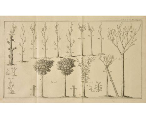 Duhamel du Monceau (Henri Louis). Des Semis et Plantations des Arbres, et de Leur Culture; ou m‚thodes pour multiplier et ‚le