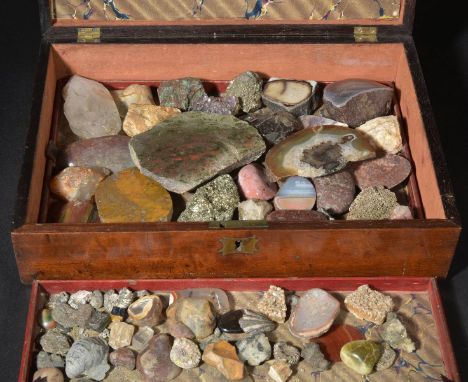 *Minerals &amp; fossils. A mixed collection of approximately fifty mineral and fossil specimens, contained in a mid 19th cent