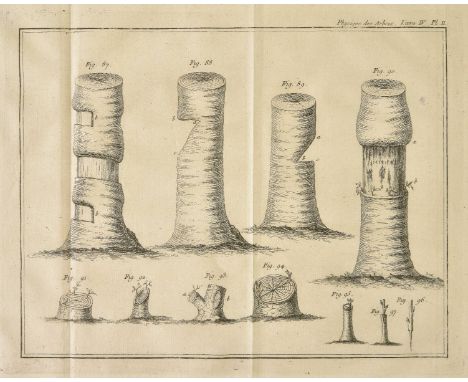 Duhamel du Monceau (Henri Louis). La Physique des Arbres; o— il est trait‚ de l'anatomie des Plantes et de l'conomie V‚g‚tale