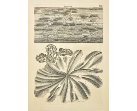 Dillenius (Johann Jakob). Historia Muscorum: A General History of Land and Water, &amp;c. Mosses and Corals, 1768,  85 engrav