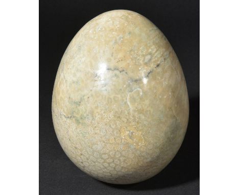 *Fossil coral egg. Fossil coral egg, from Indonesia, Pliocene, 2 Million Years,  a finely polished example, 20 cm high  (1)