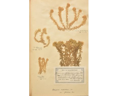 Peat Moss. An album containing approximately 160 dried sphagnum plant specimens, 1880s,  neatly mounted as multiples to 51 al