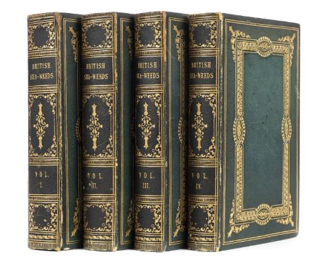 Johnstone (William Grosart &amp; Alexander Croall). The Nature-Printed British Sea-Weeds: A History, Accompanied by Figures a