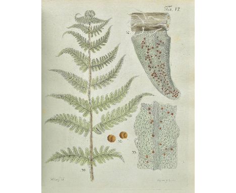 Hedwig (Johann). Theoria Generationis et Fructificationis Plantarum Cryptogamicarum Linnaei, 1st edition, St. Petersburg, 178