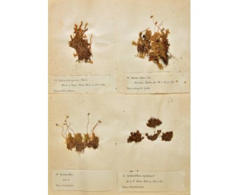 Wilson (William &amp; Hooker, William Jackson). Musci Americani; or, Specimens of Mosses, Jungermanniae, &amp;c. Collected by