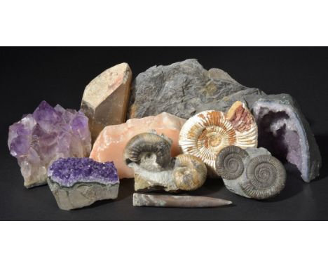 *Fossils and minerals. A Collection of fossils and minerals mostly identified including Ammonite (Cadaceras sublaeve with Sig