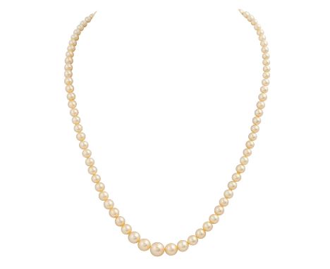 Perlenkette im Verlauf von 4-7,5 mm aus Salzwasserzuchtperlen mit gold-cremefarbenem Lüster, rosé Oberton, L: 42 cm, Schließe