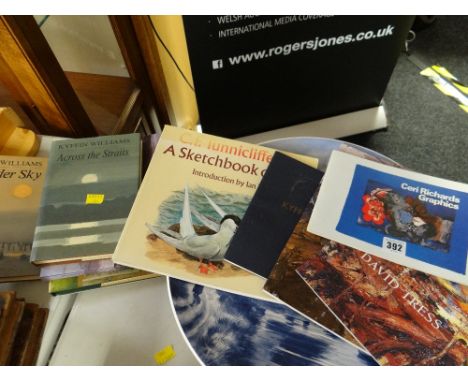 A small parcel of books relating to Welsh artists & art, Sir Kyffin Williams, David Tress etc