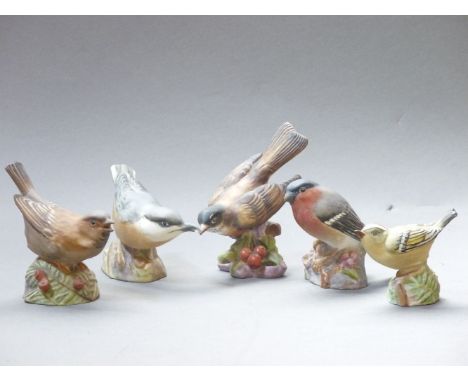 Five Royal Worcester bone china birds, Nuthatch, Sparrow, Gold Crest, Bullfinch, American Robin