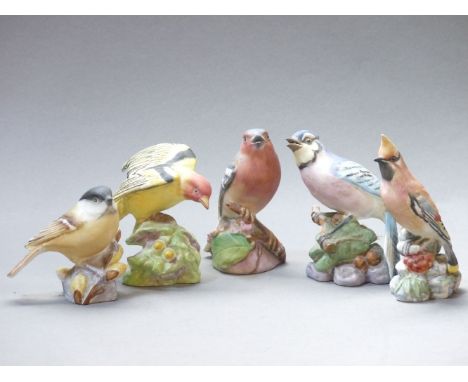 Five Royal Worcester bone china birds, Western Tanager, Marsh Tit, Blue Jay, Chaffinch, Waxwing, 9cm tallest