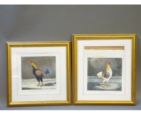 After R Pollard‘YORKSHIRE HERO’; ‘A CHESHIRE PILE’ A pair, cock fighting coloured engravings