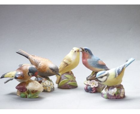 Five Royal Worcester bone china birds, Hedge Sparrow, Blue Bird, Blue Tit, Wood Warbler, Goldfinch