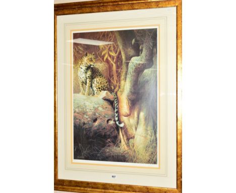 DICK VAN HEERDE (DUTCH 1954) 'A WATCHING BRIEF', depicting a panther looking for prey, a limited edition print 284/500, signe