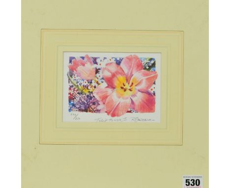 RUTH BADERIN (AMERICAN) 'TULIP TUNES I', a limited edition print 824/950, signed, titled and numbered in pencil, mounted, unf