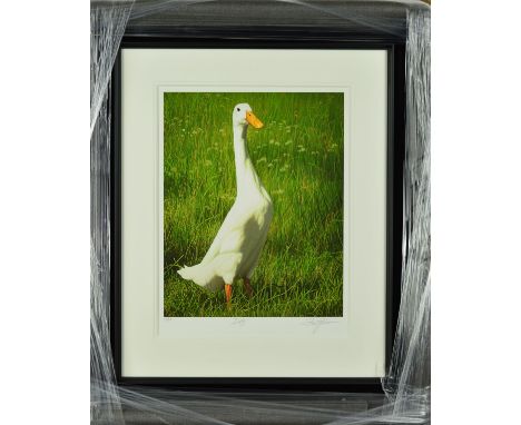 PAUL JAMES 'DOTTY', a limited edition print of a goose, 40/95, signed and titled in pencil, with certificate, mounted, framed